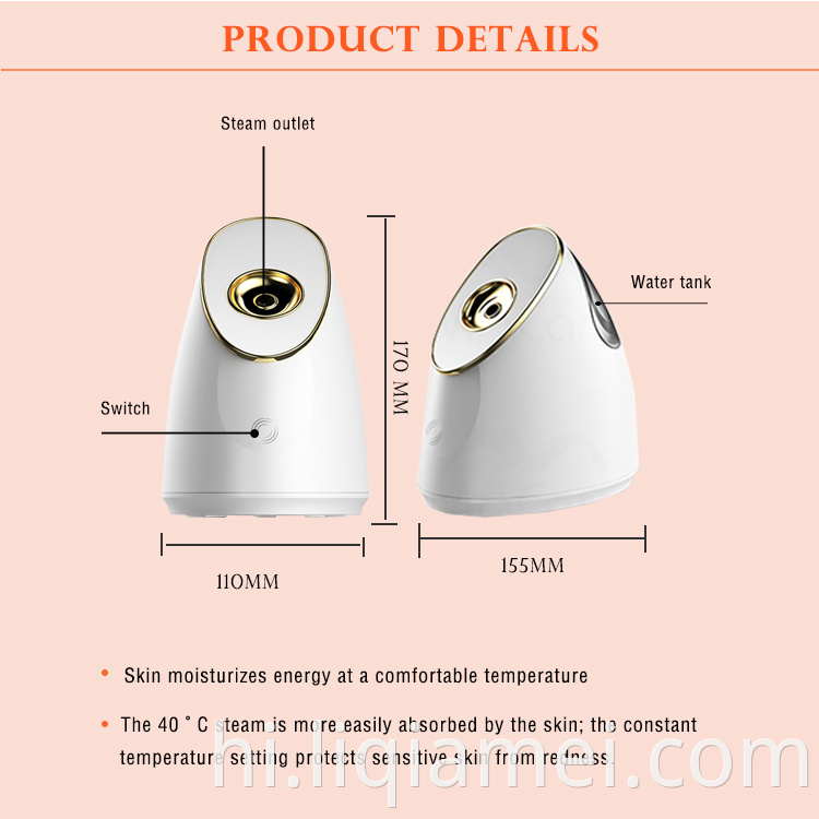 Double Hydration Nano Facial Steamer